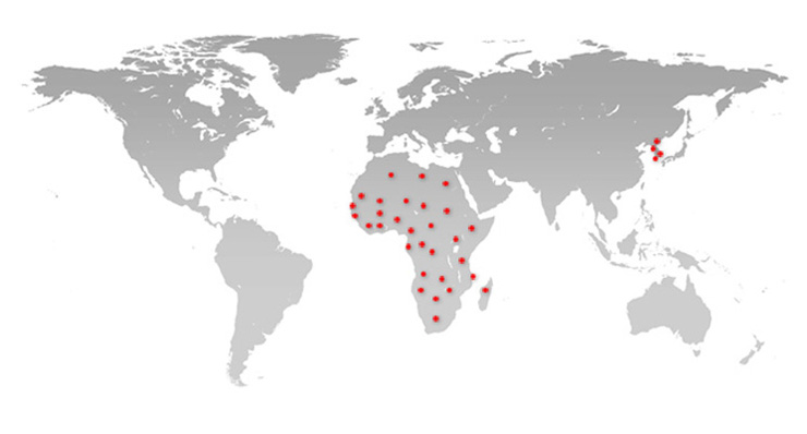 International Market