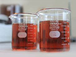 Fish Oil